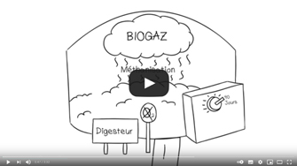 "Qu’est-ce que le biogaz ?" – Sydo / Lionel Tricot – RAEE, 2013